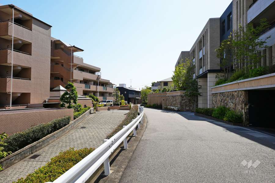 敷地北側の前面道路（東側から）