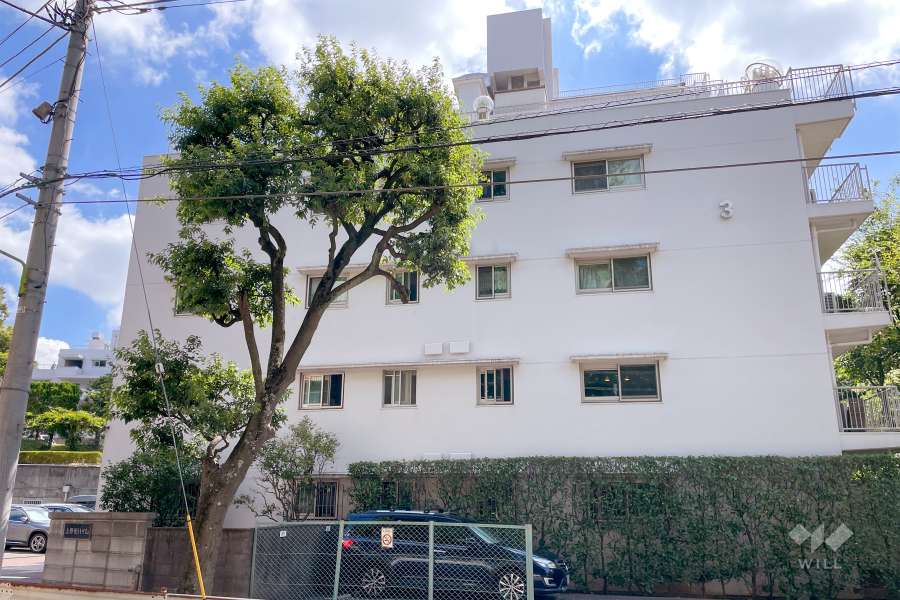 上野毛ハイム3号棟の外観（西側から）