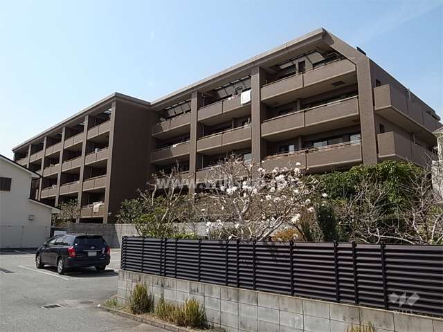 コスモ芦屋ロイヤルフォルムの外観（南東側から）