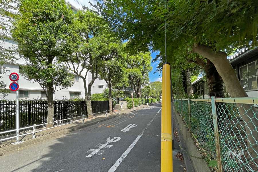 敷地の東側道路の南側から