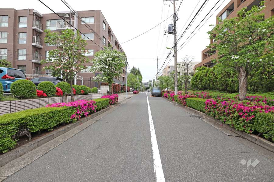 敷地南西側の前面道路（南東側から）
