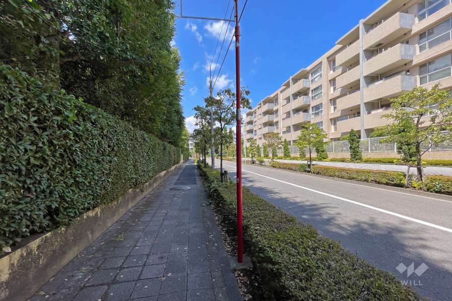 敷地南西側の前面道路（南東側から）