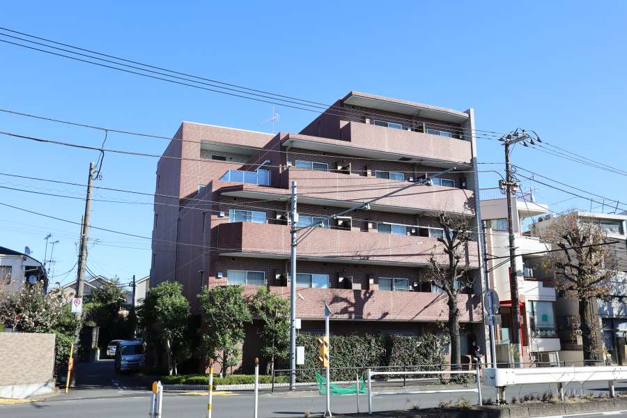 ブライズ上野毛の外観（西側から）