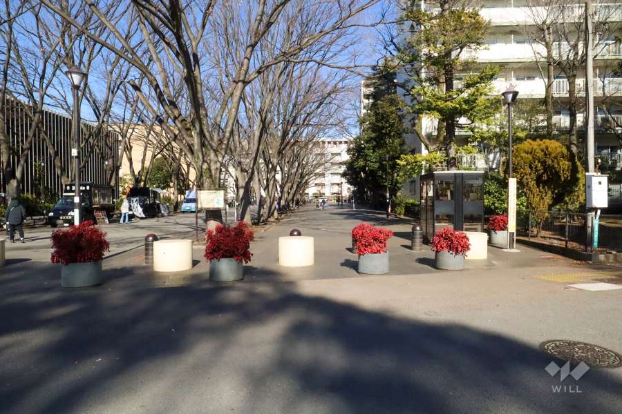 敷地西側の前面道路(南側から)