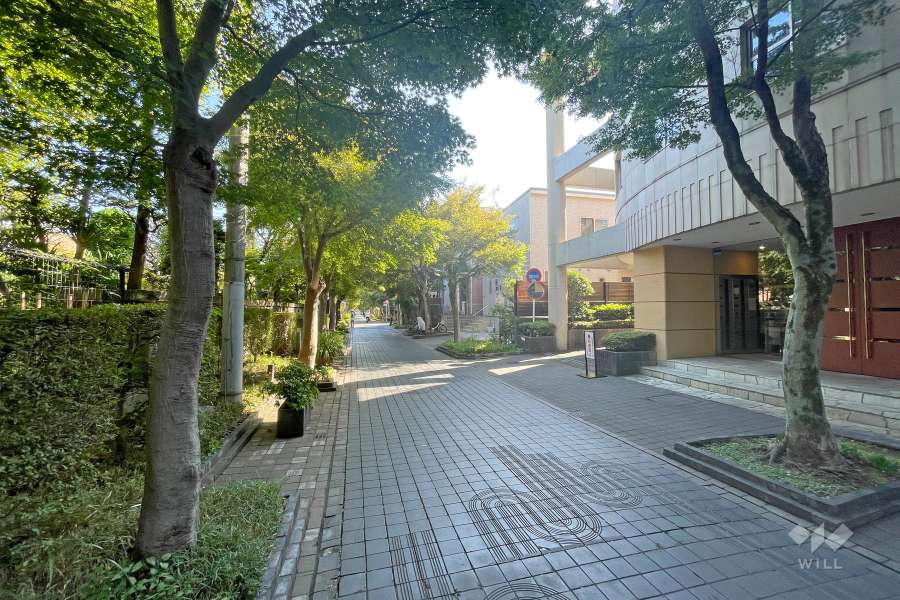 敷地北側の前面道路（西側から）