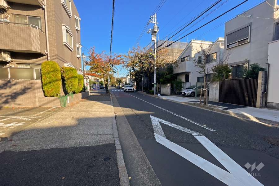 敷地北東側の前面道路（南東側から）