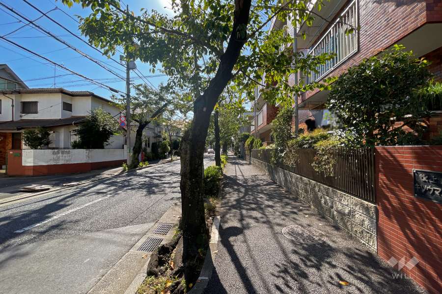 敷地北東側の前面道路（北西側から）