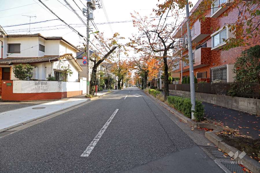 敷地北東側の前面道路（北西側から）