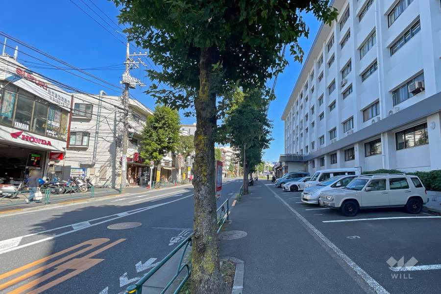 敷地の前面北側道路（西側から）