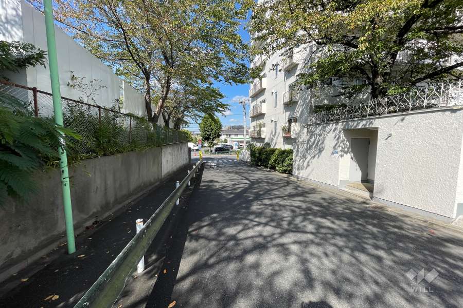 敷地の西側前面道路（南側から）
