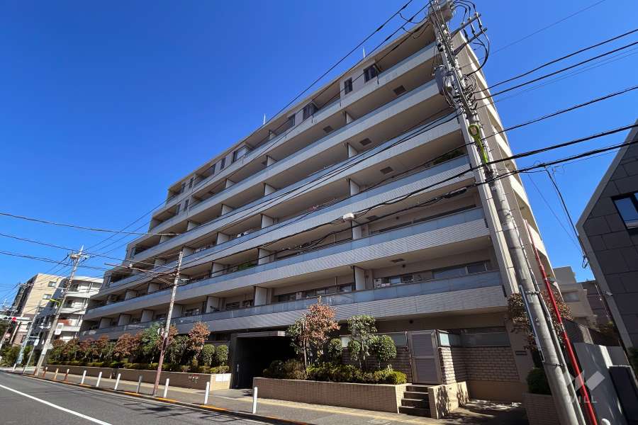 フォルム上用賀馬事公苑の外観（南西側から）