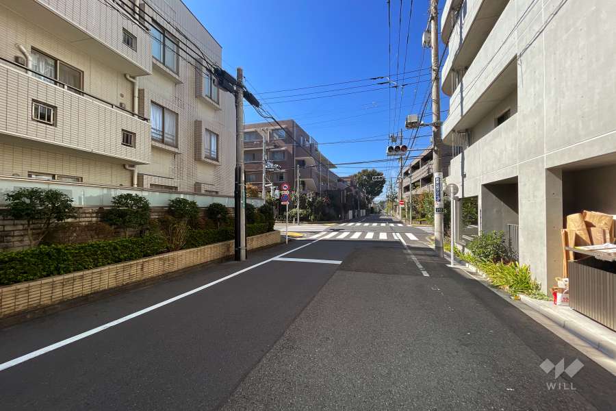 敷地北西側の前面道路（北東側から）