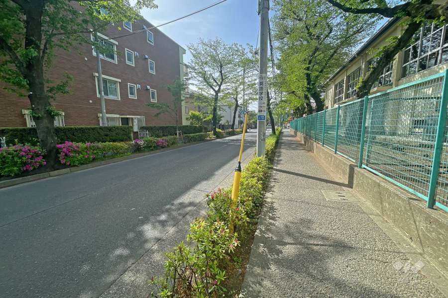 敷地西側の前面道路（北側から）
