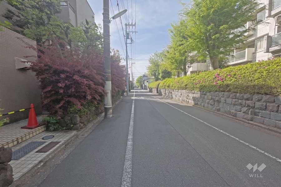 敷地西側の前面道路（北側から）