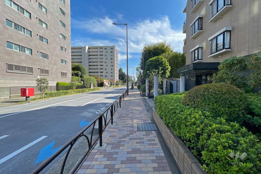 敷地東側の前面道路（北側から）