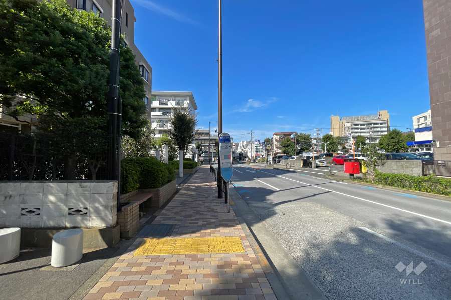 敷地東側の前面道路（南側から）