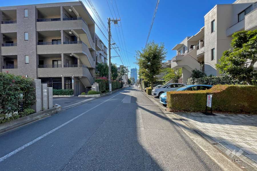 敷地東側の前面道路（北側から）