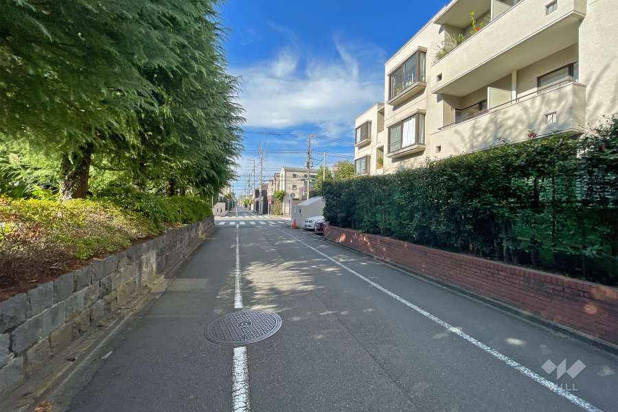 敷地西側の前面道路（南側から）