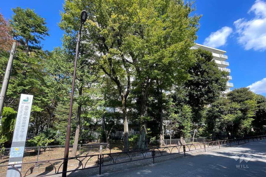 パシフィック馬事公苑前2号棟の外観（南側から）