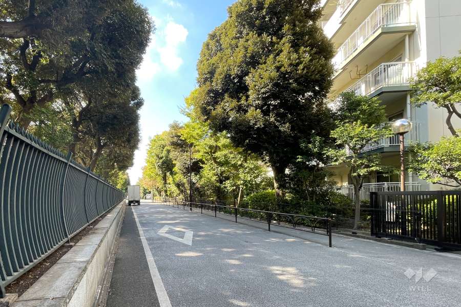 敷地の南側前面道路（東側から）