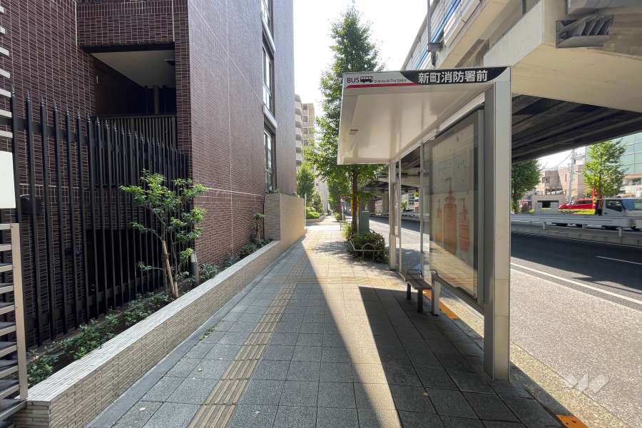 敷地北側の前面道路（東側から）