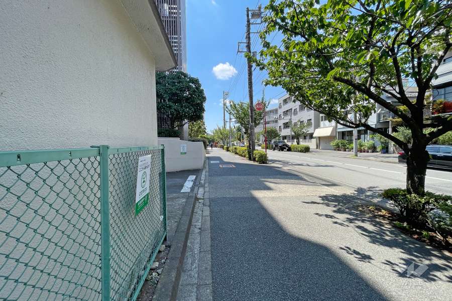 敷地北側の前面道路（東側から）