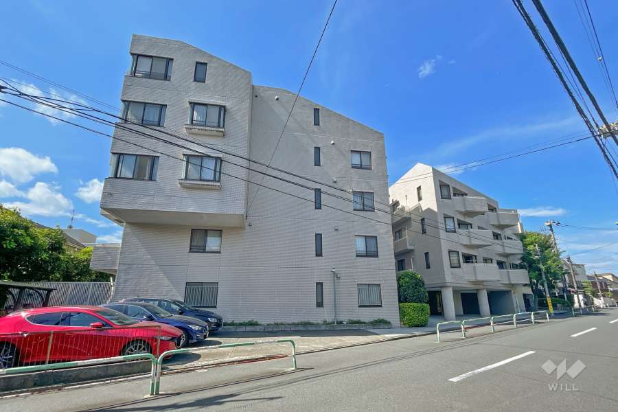 パークハイム新町三丁目の外観（南東側から）