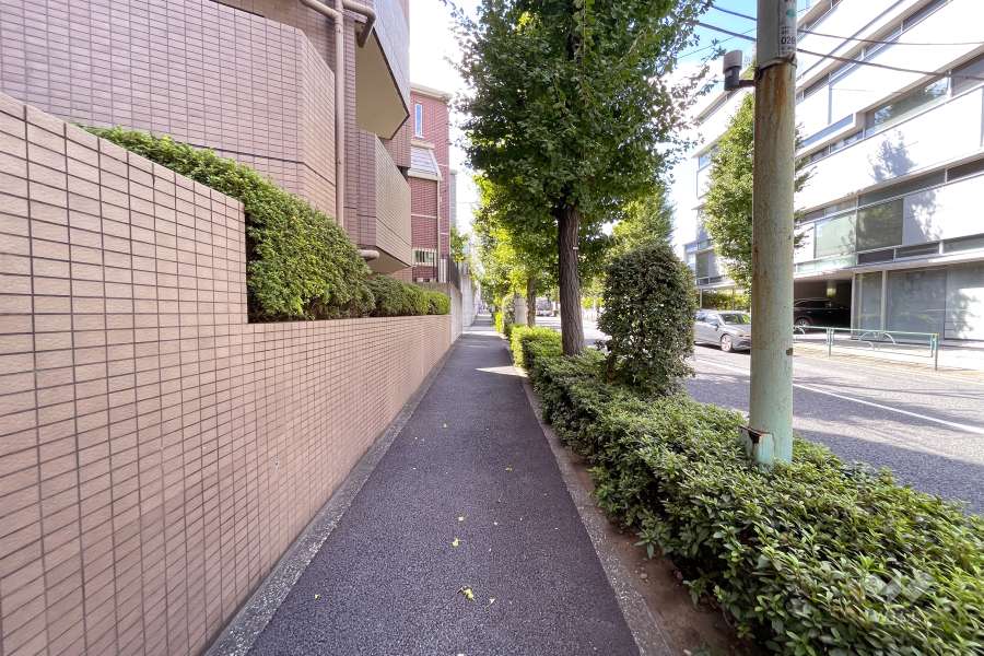 敷地北側の前面道路（東側から）