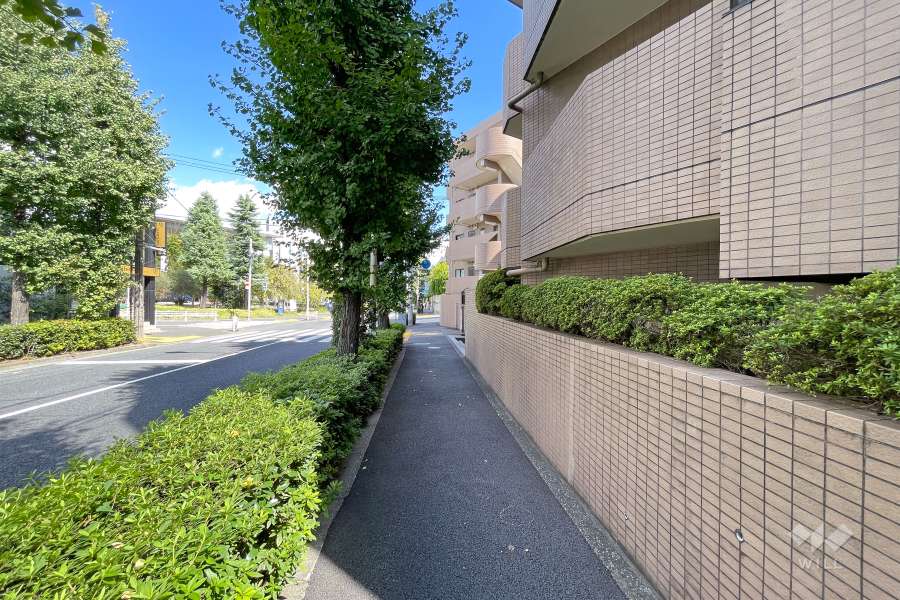 敷地北側の前面道路（西側から）