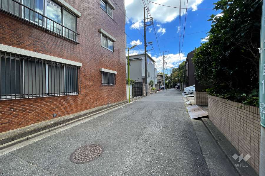 敷地南西側の前面道路（北西側から）