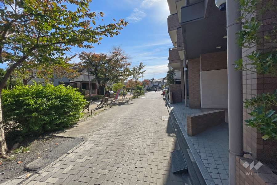 敷地東側の前面道路（北側から）