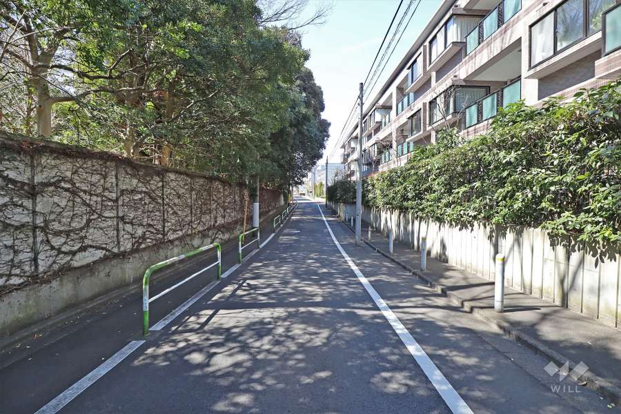 敷地南側の前面道路(東側から)