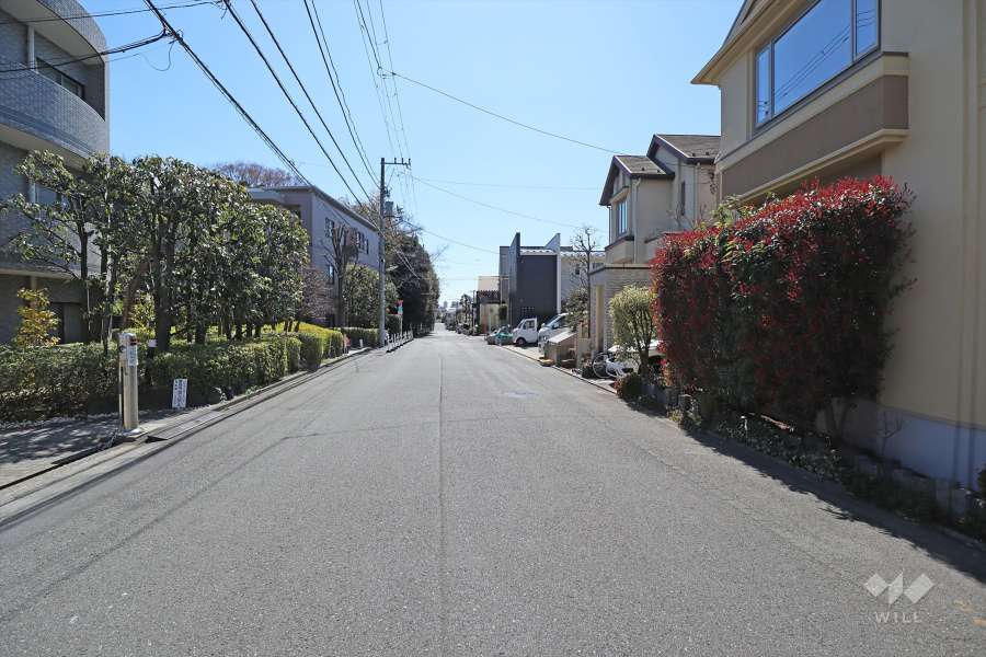 敷地西側の前面道路(北側から)