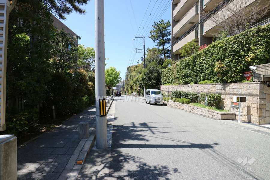 敷地南側の前面道路