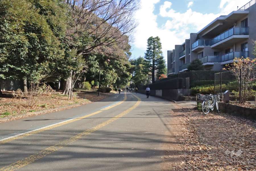 敷地北側の前面道路(西側から)