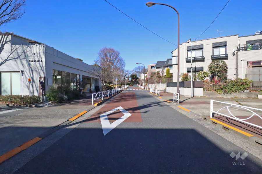 敷地北東側の前面道路（南東側から）