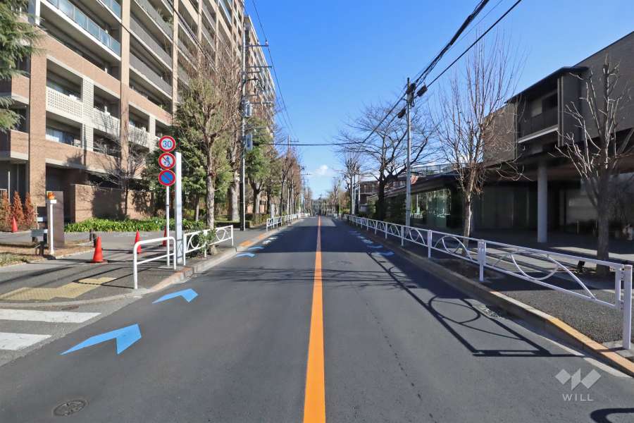 敷地南側の前面道路(西側から)
