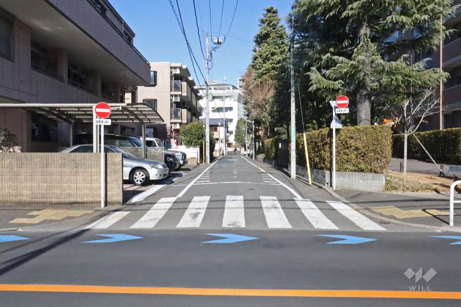 敷地西側の前面道路(南側から)