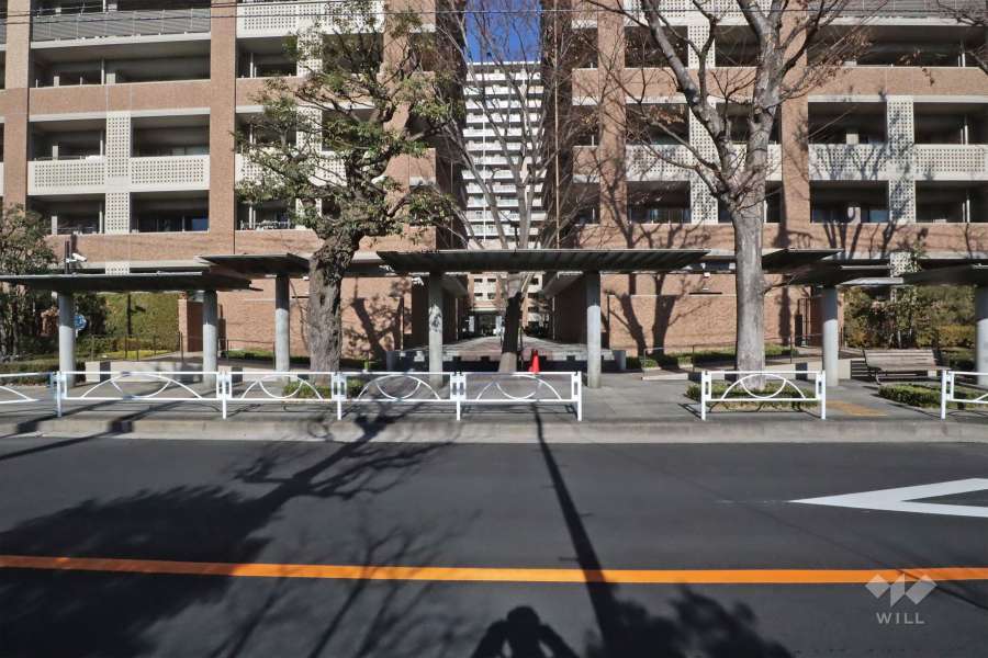 南側エントランスアプローチ