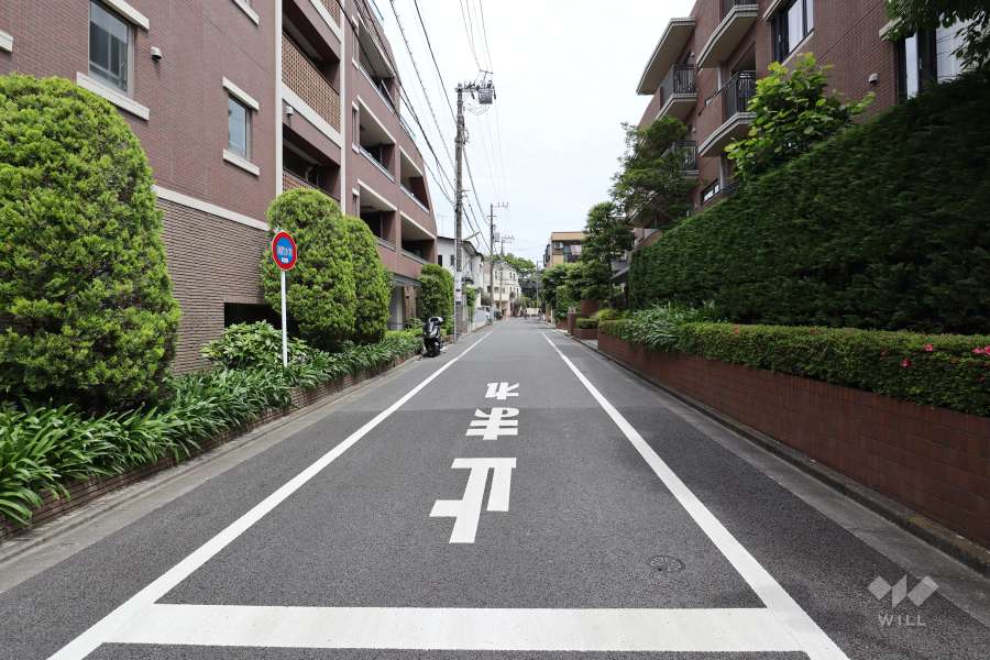 敷地東側の前面道路（南側から）