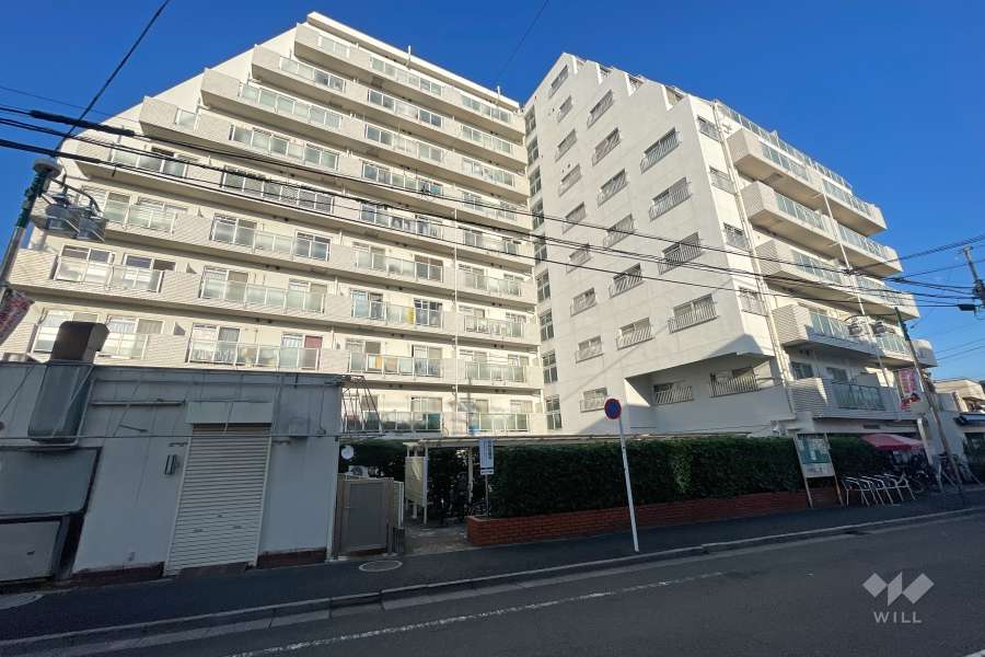 ニューライフ等々力の外観（南西側から）