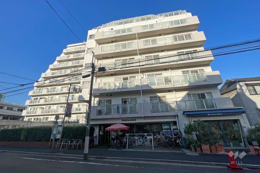 ニューライフ等々力の外観（南東側から）