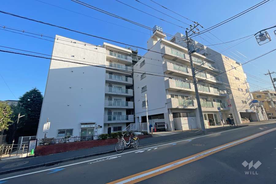 ニューライフ等々力の外観（北西側から）