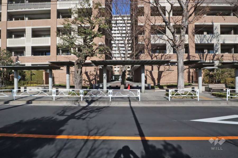 敷地入り口(南側)