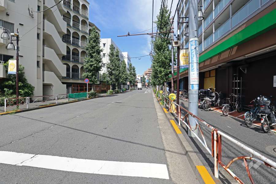 敷地西側前面道路は駒沢公園通りです（南側から）。