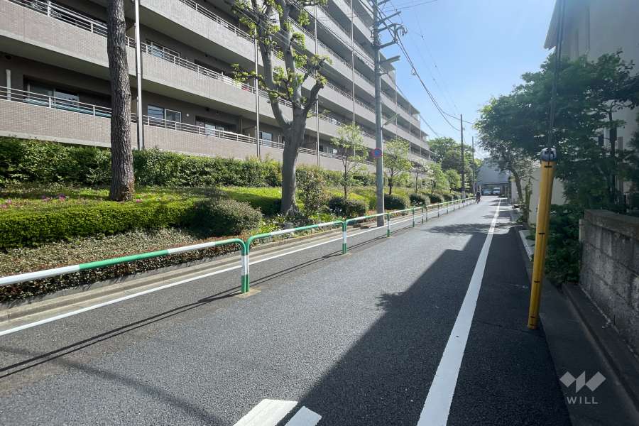 敷地南側の前面道路（西側から）