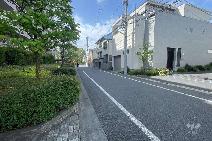 敷地西側の前面道路（北側から）