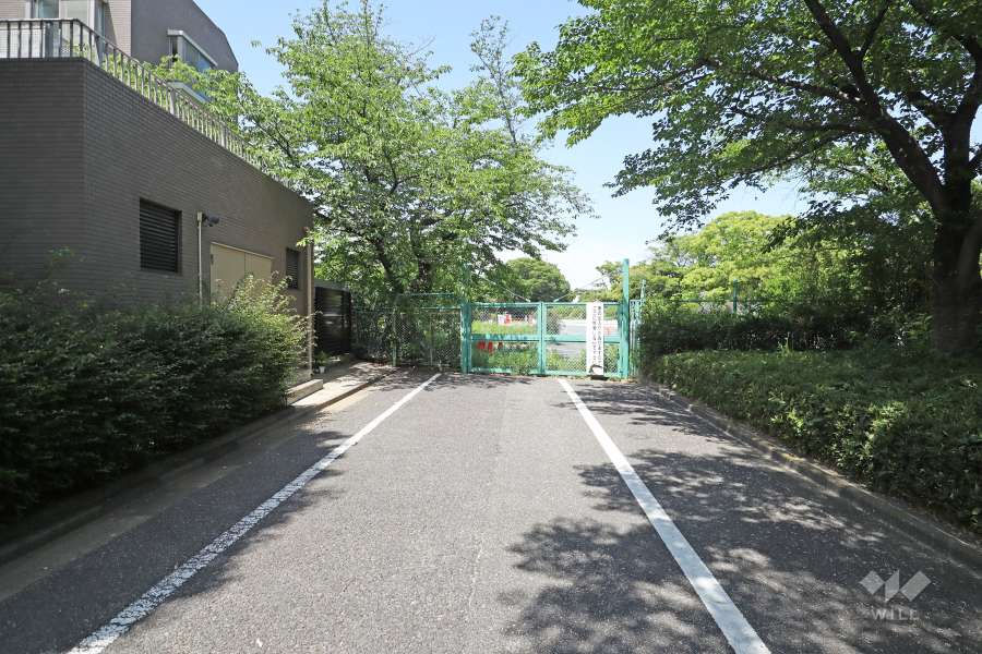 敷地東側の前面道路