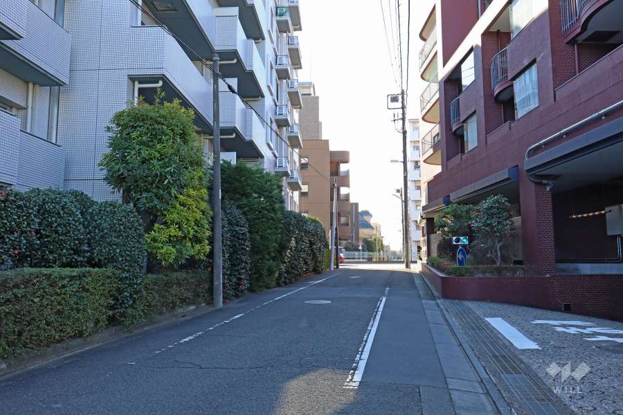 敷地の東側前面道路（北側から）