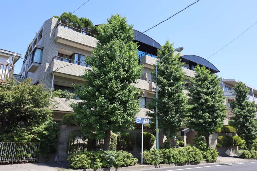 グランポート深沢の外観（南西側から）